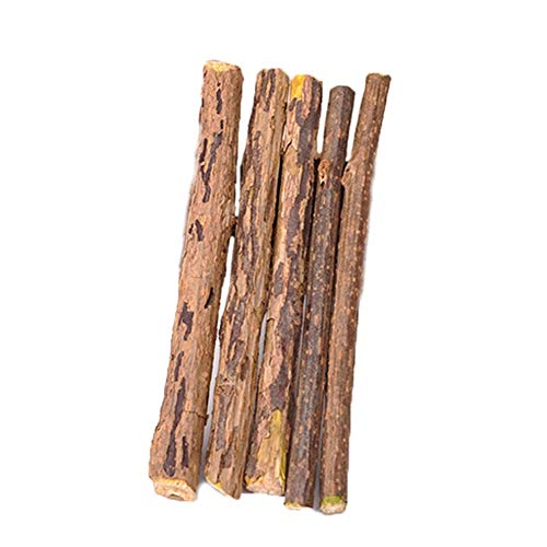 Natural Catnip & Silvervine Dental Sticks for Cats - Teeth Cleaning Chews with Matatabi & Actinidia Fruit - Healthy Cat Dental Treats for Fresh Breath & Tartar Control - Perfect for Playtime & Oral Care