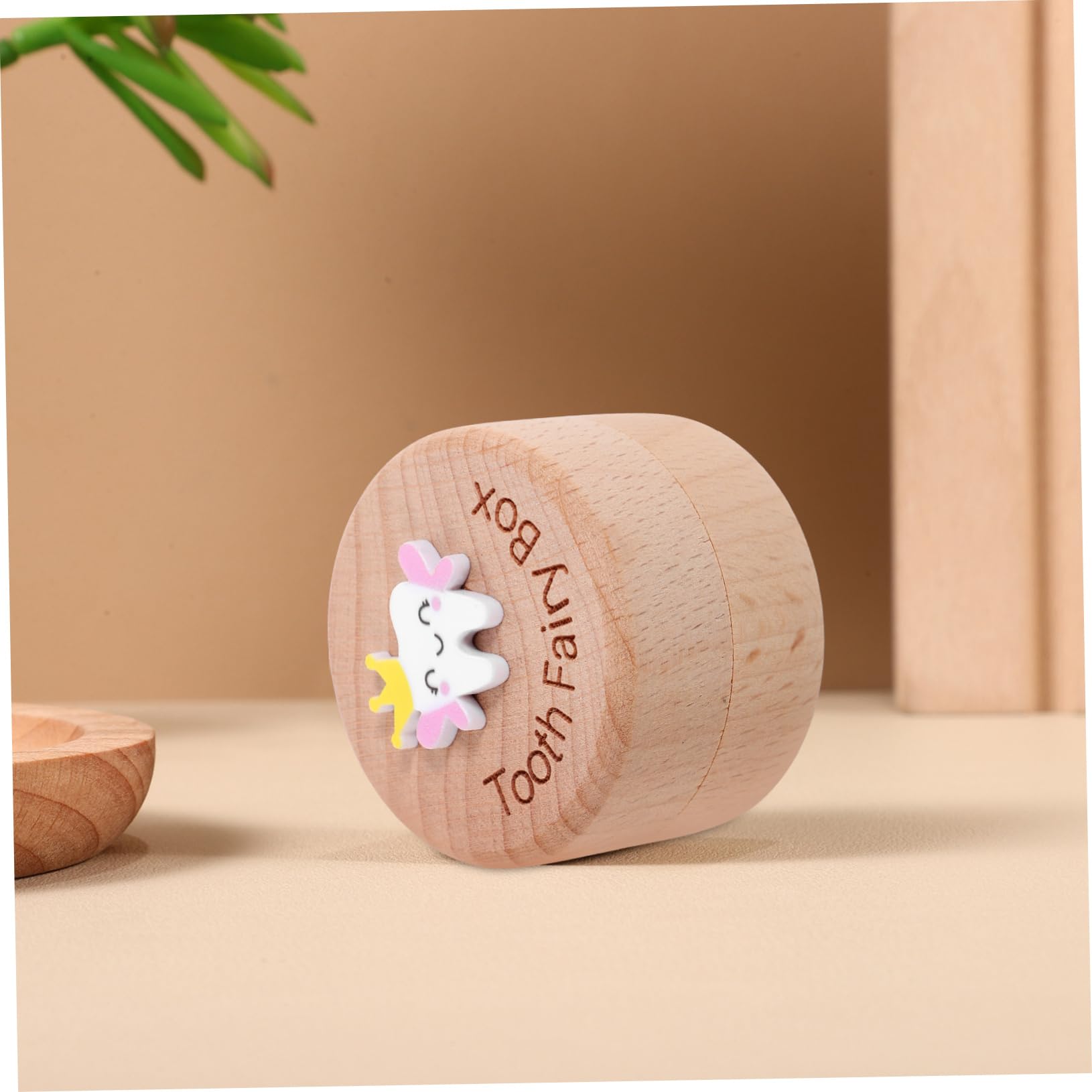 Levemolo Box - Kids Tooth Keepsake Holder & Baby Hair Organizer | First Tooth Collection Box for Baby Teeth & Fetal Hair Storage | Perfect for Baby's First Tooth, Milestone Memories & Nursery Decor