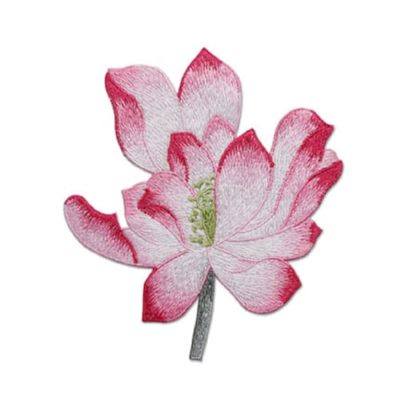 The Bloom of Creativity: A Tale of Transformation