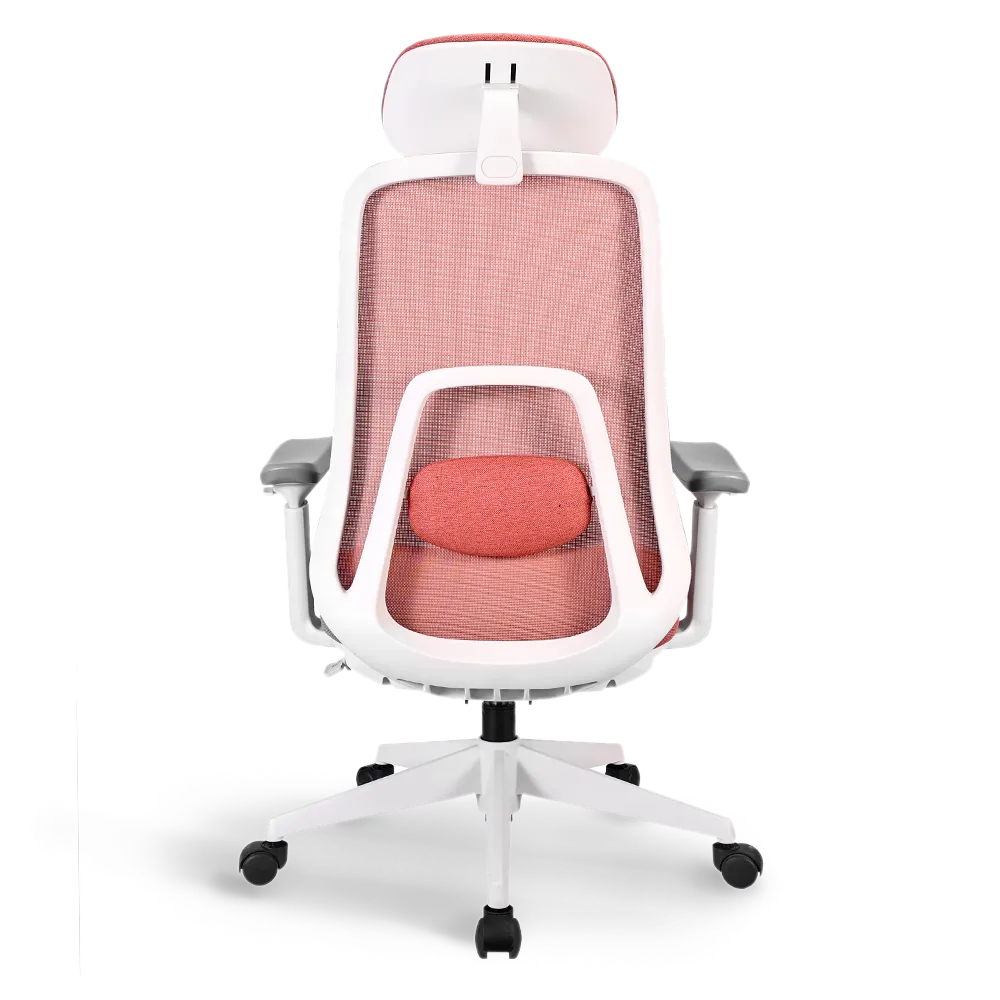 Pluto Ergonomic Office Chair - Adjustable Lumbar Support & Breathable Mesh Back - Perfect for Home Office, Gaming & Workspace