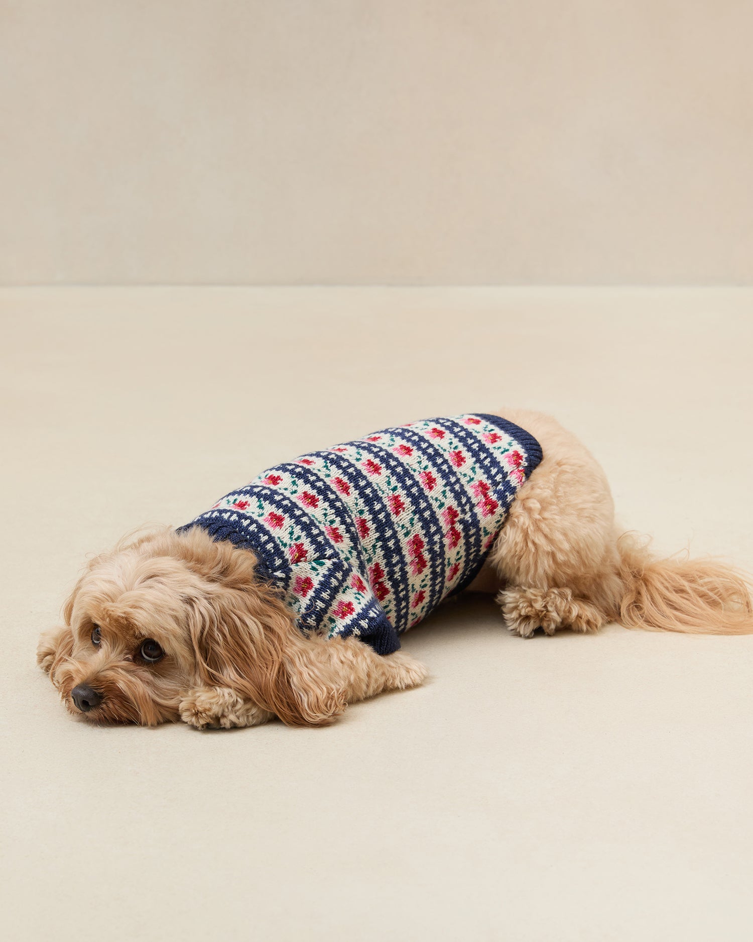 Handmade Intarsia Knit Dog Sweater for Small to Medium Breeds - Cozy Winter Wear for Indoor & Outdoor Adventures