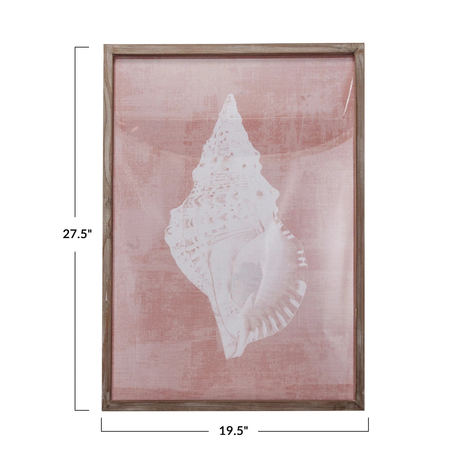 20x28 Inch Conch Shell Wall Art Decor - Coastal Beach Theme Home Decor for Living Room, Bedroom, Bathroom | Perfect for Nautical & Boho Style Interiors