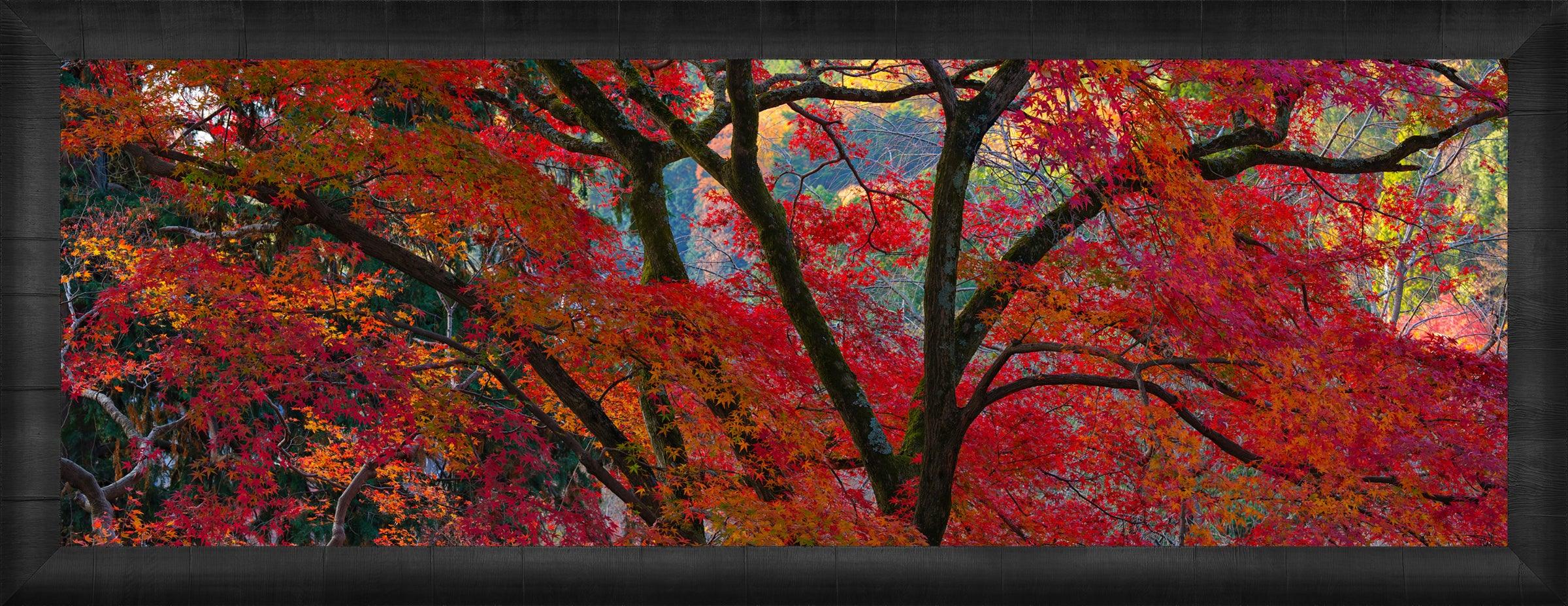Crimson Temple - Elegant Home Decor for Living Room, Bedroom & Office | Perfect for Meditation, Yoga & Relaxation Spaces