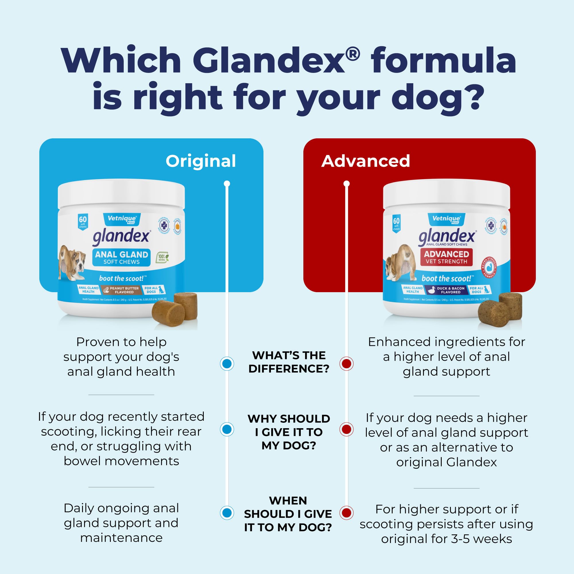 Vetnique Labs Glandex Anal Gland Soft Chew Treats for Dogs - Digestive Enzymes, Probiotics & Fiber Supplement with Pumpkin - Peanut Butter Flavor (60 Count) - Supports Anal Gland Health & Reduces Scooting - Perfect for Digestive Support & Daily Treats
