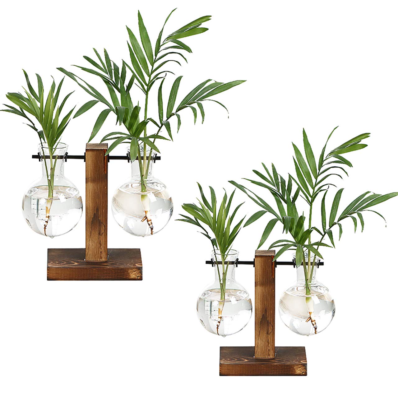 Glass Planter Bulb Terrarium with Wooden Stand - 2 Pack Hydroponic Propagation Station for Succulents, Herbs & Air Plants | Perfect for Home, Kitchen, Desk Decor & Indoor Gardening Gifts