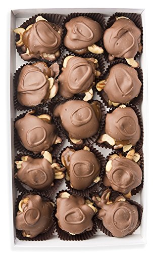 Mrs. Cavanaugh's 4.6 lbs Trinidad Milk Chocolate with Caramel & Cashews - Gourmet Gift, Party Favors & Dessert Topping for Ice Cream, Cakes & More