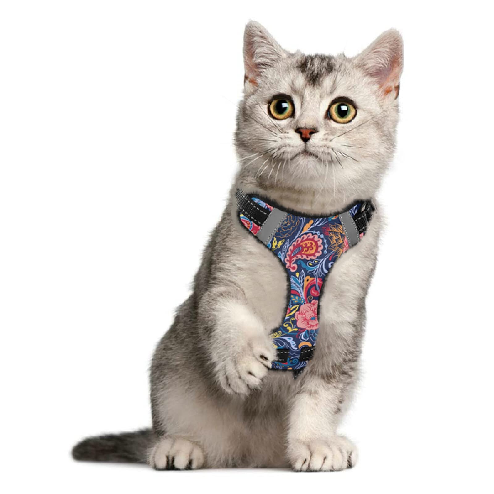 Paisley Flower Dog Harness No Pull Reflective Breathable Vest for Small & Medium Dogs with Nylon Handle - Perfect for Walking, Hiking & Outdoor Adventures