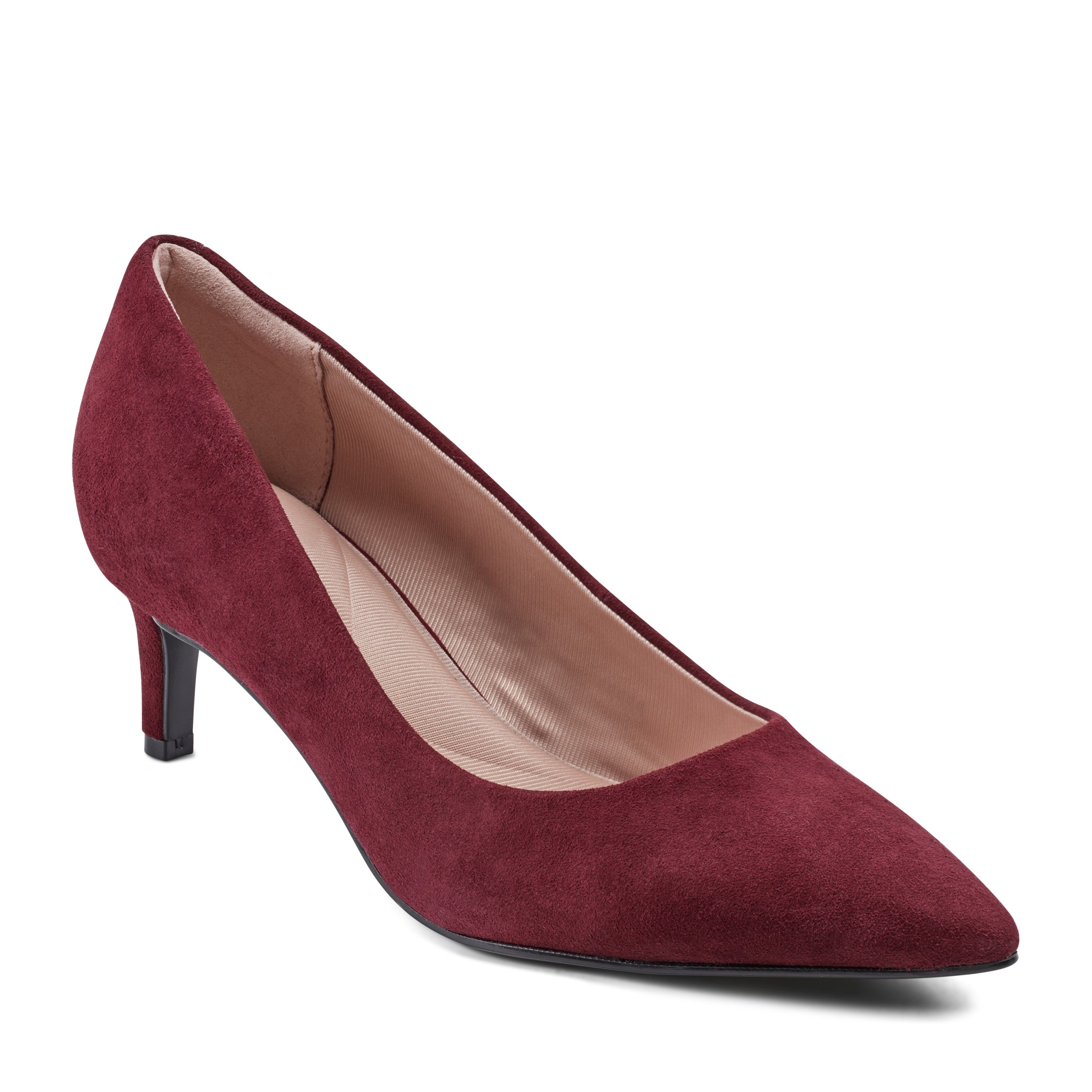 Stylish Women's Cindy Pointy Toe High Heel Pumps - Elegant Dress Shoes for Office, Party & Special Occasions