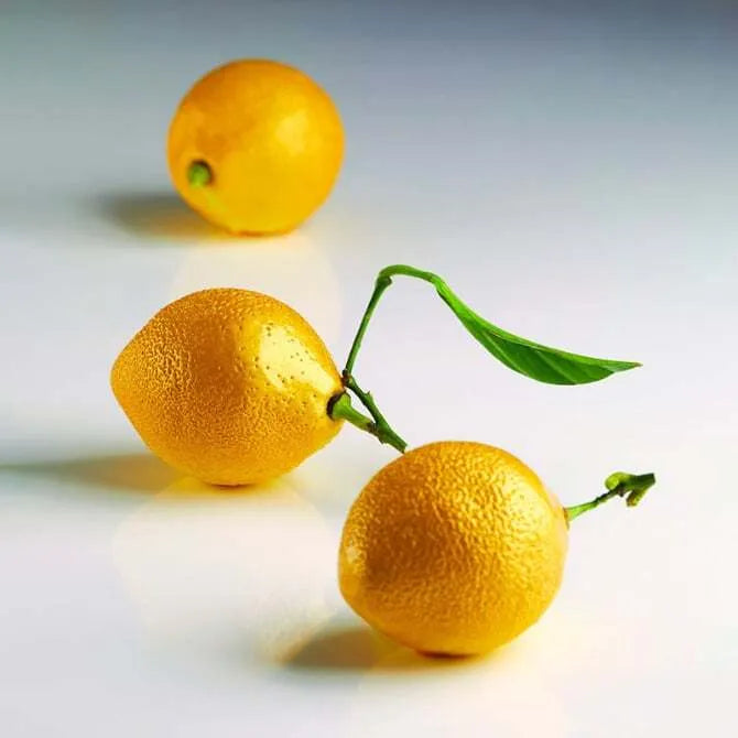 Fresh Fruits & Cedric Grolet-Inspired Desserts Online | Organic & Gourmet Fruits for Baking, Gifting & Healthy Snacking