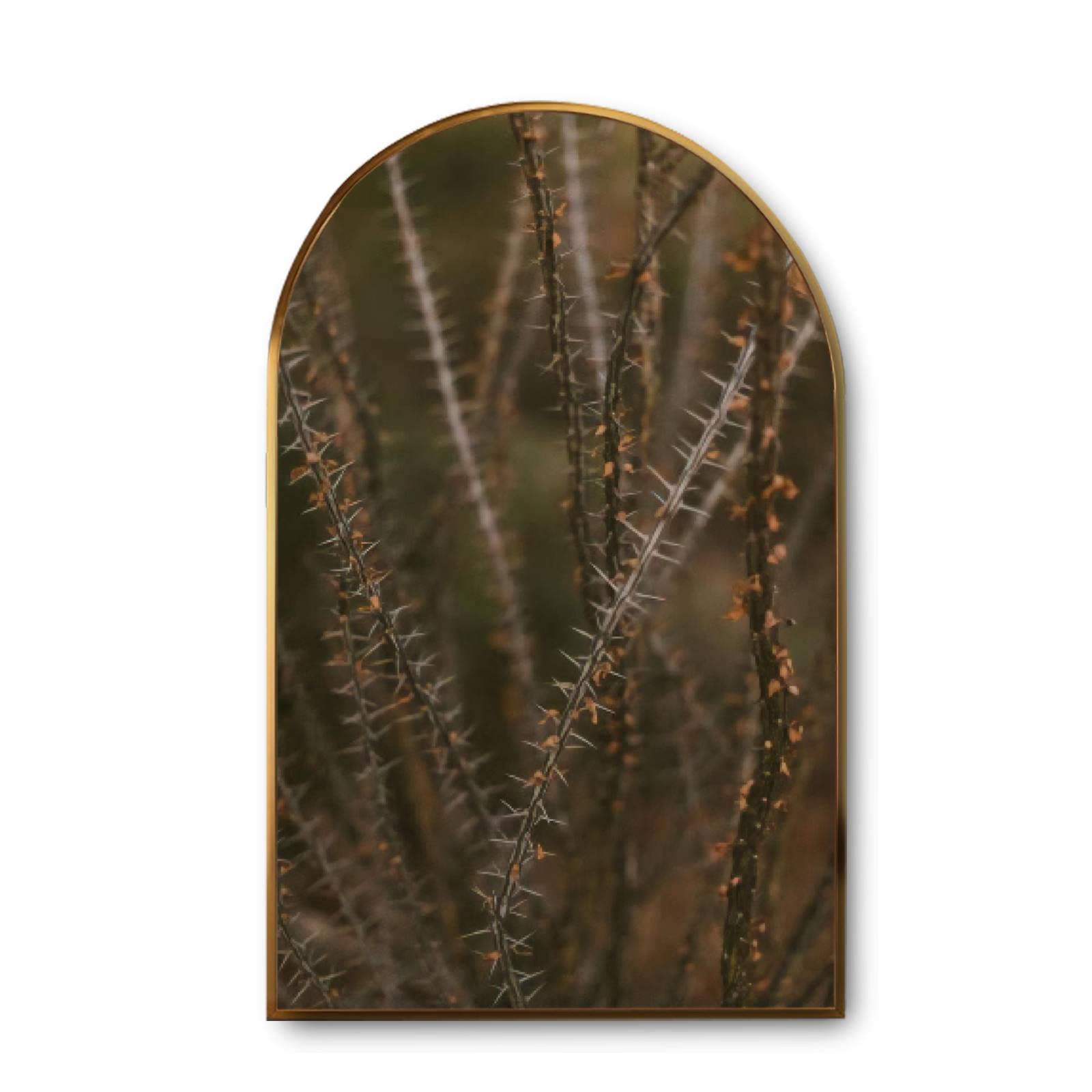Vintage Desert Canvas Wall Art - Southwestern Ocotillo Tucson Landscape Painting for Bedroom, Living Room, Office Decor | Modern Nature Artwork Gift for Arizona, California, Utah, New Mexico | Perfect for Boho, Farmhouse & Southwestern Style Homes