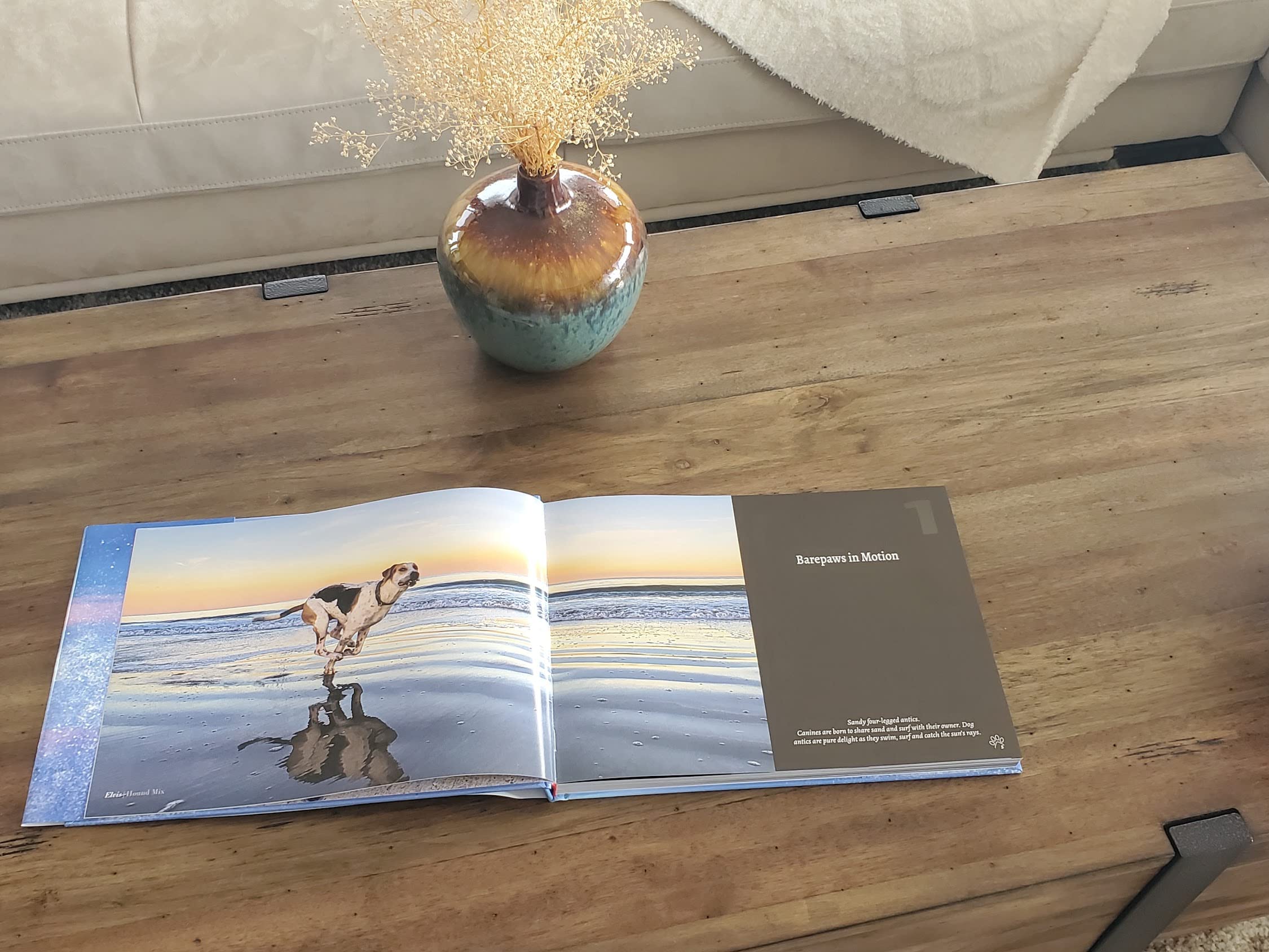 BEACH DOGS: Stunning Coffee Table Photography Book for Dog Lovers - Perfect Gift for Pet Owners & Beach Enthusiasts | Home Decor & Conversation Starter