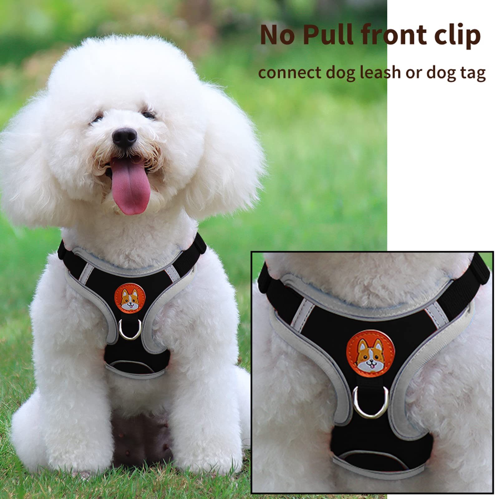 Adjustable No-Pull Dog Harness & Leash Set for Small to Medium Dogs - Reflective Comfort Vest with 2 Leash Clips | Perfect for Walking, Training & Outdoor Adventures