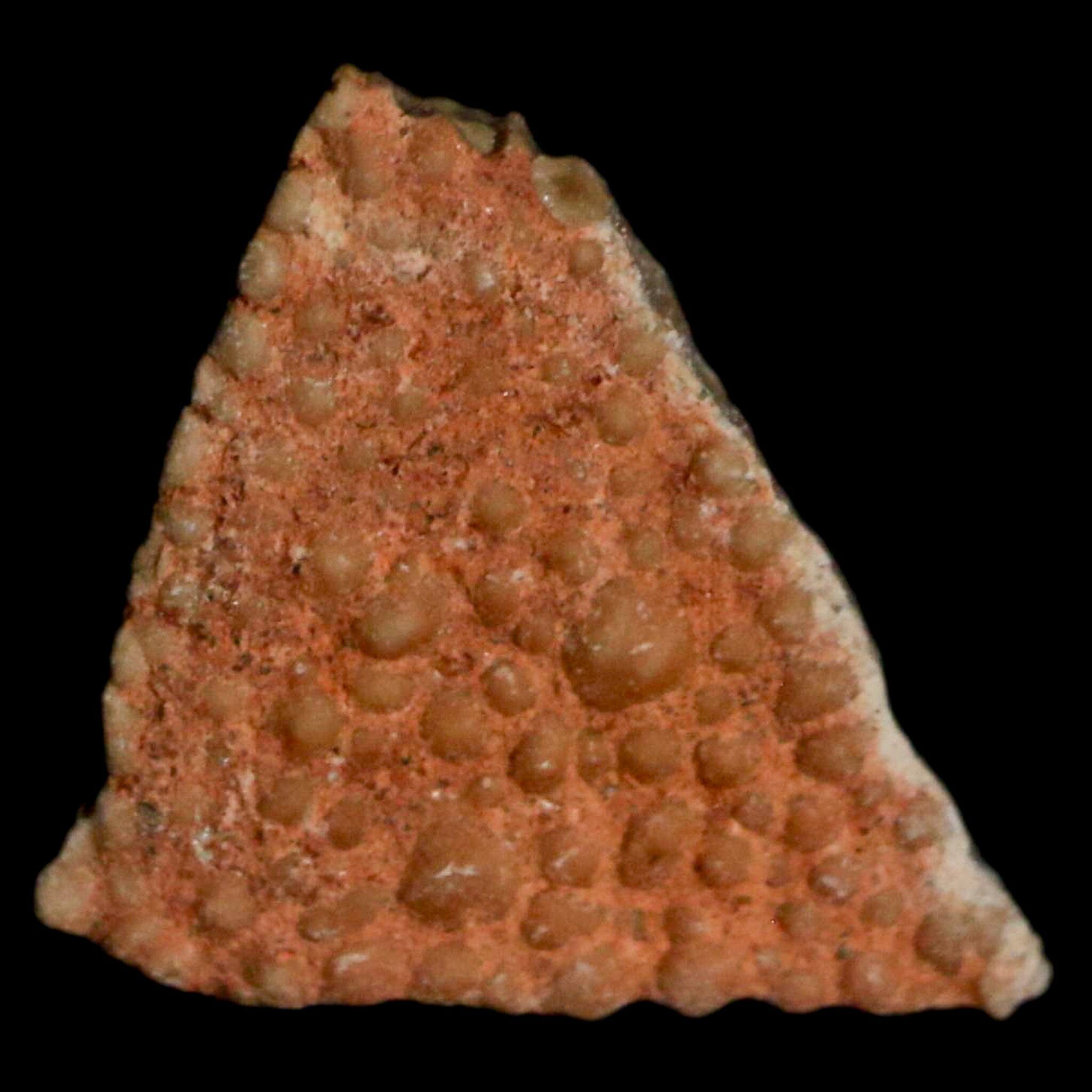 Authentic 0.4 Megaloolithus Titanosaur Dinosaur Fossil Egg Shell from Bouches-du-Rhône, France - Rare Collector's Specimen for Paleontology Display & Educational Use