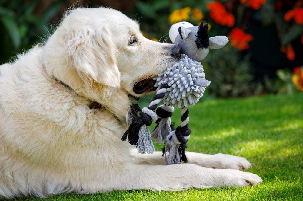 Farmyard Buddies Noodle Donkey Dog Toy - Durable Chew Toy for Small & Medium Dogs - Fun Interactive Plush Animal Toy for Playtime & Training - Perfect for Indoor & Outdoor Use