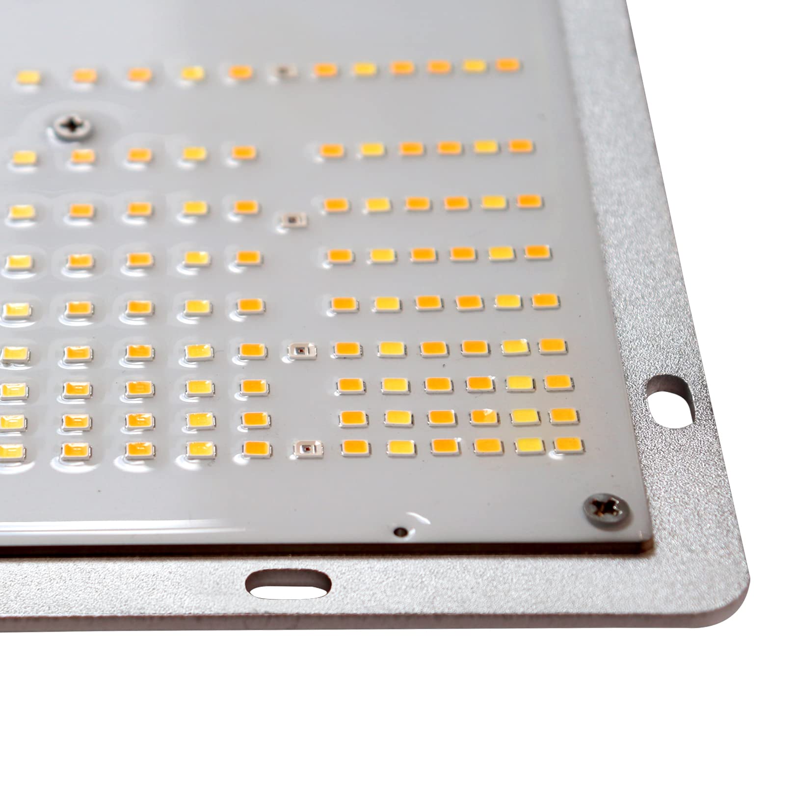 Koray G4000H High Uniformity LED Grow Light for Indoor Plants - Full Spectrum Plant Light for Hydroponics, Greenhouse, and Home Gardening