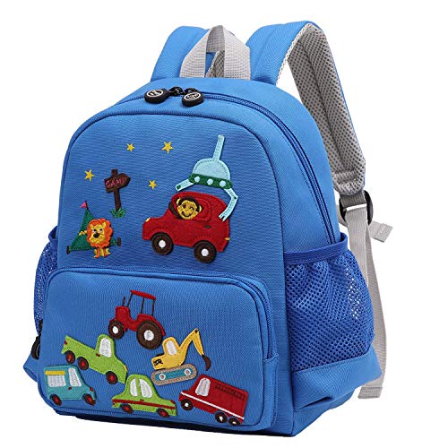Light Blue Car