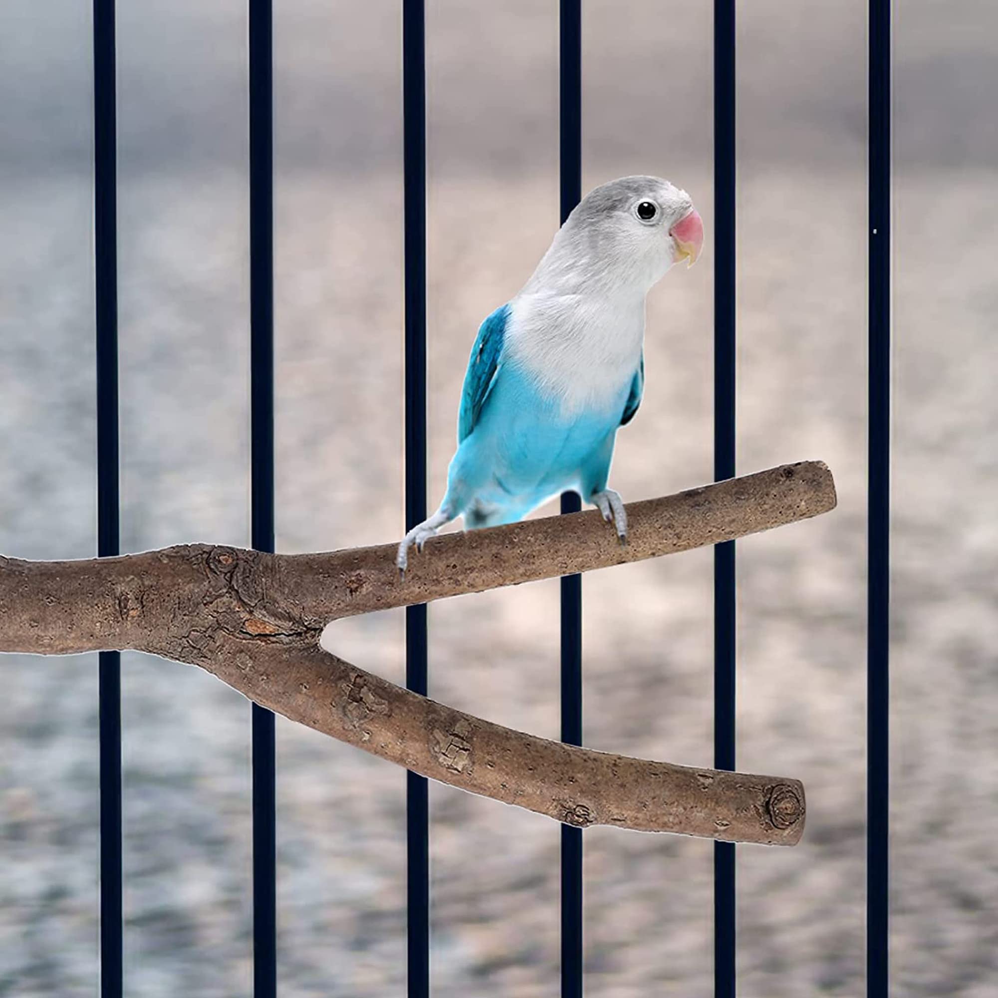 Allazone 10 PCS Natural Wood Bird Perch Stand Set - Safe Wooden Parrot Perches for Cockatiels, Budgies, Parakeets & Small Birds - Cage Accessories for Climbing, Playing & Resting - Perfect for Bird Cages & Aviaries