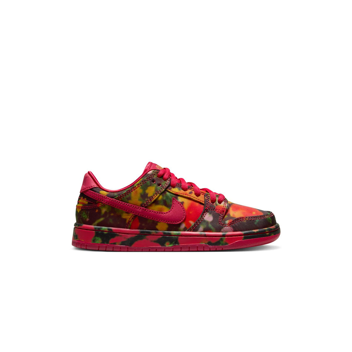Wizard of Oz Kids SB Dunk Low Pro 'Poppy Fields' Sneakers - Dorothy Inspired Basketball Shoes for Boys & Girls - Perfect for Cosplay, Halloween Costumes, and School Fashion