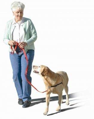 No-Pull Dog Harness - The Original Sense-ation Training Harness for Small Dogs (Blue) | Perfect for Walking, Running & Outdoor Adventures with Your Pet