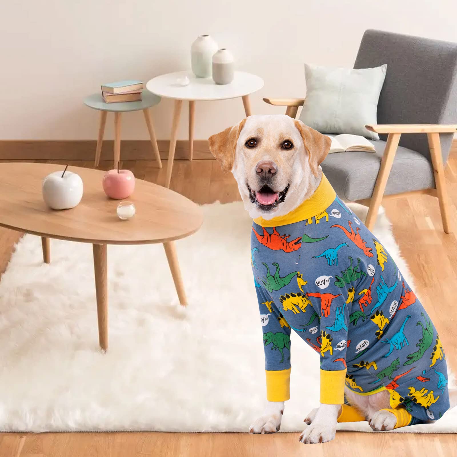 Post-Surgery Dog Recovery Suit for Medium & Large Dogs - Soft Spay/Neuter Onesie to Prevent Licking & Shedding | Alternative to Dog Cone | Ideal for Wound Protection After Surgery, Grooming & Comfort