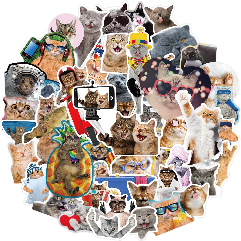 65 Pcs Waterproof Cool Cat Vinyl Stickers - Fun Decals for Water Bottles, Laptops, Phones, Luggage, Skateboards, Scrapbooks, Journals & More - Perfect for Kids, Teens, Adults - Great for Halloween Gifts & DIY Crafts