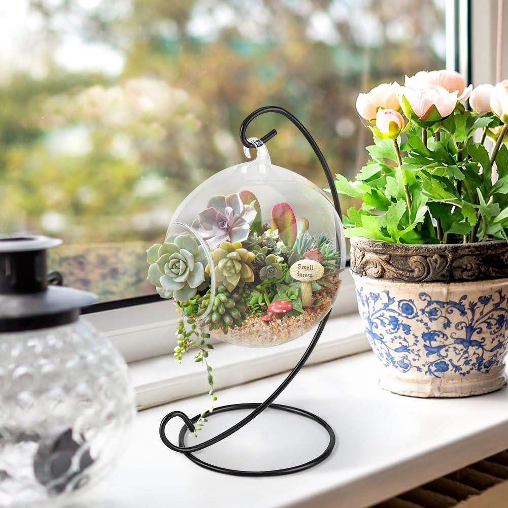 Air Plant Terrarium Kit with Hanging Glass Vase & Metal Stand - Tabletop Display for Succulents, Small Plants | Home Office Decor, Gift Idea for Plant Lovers