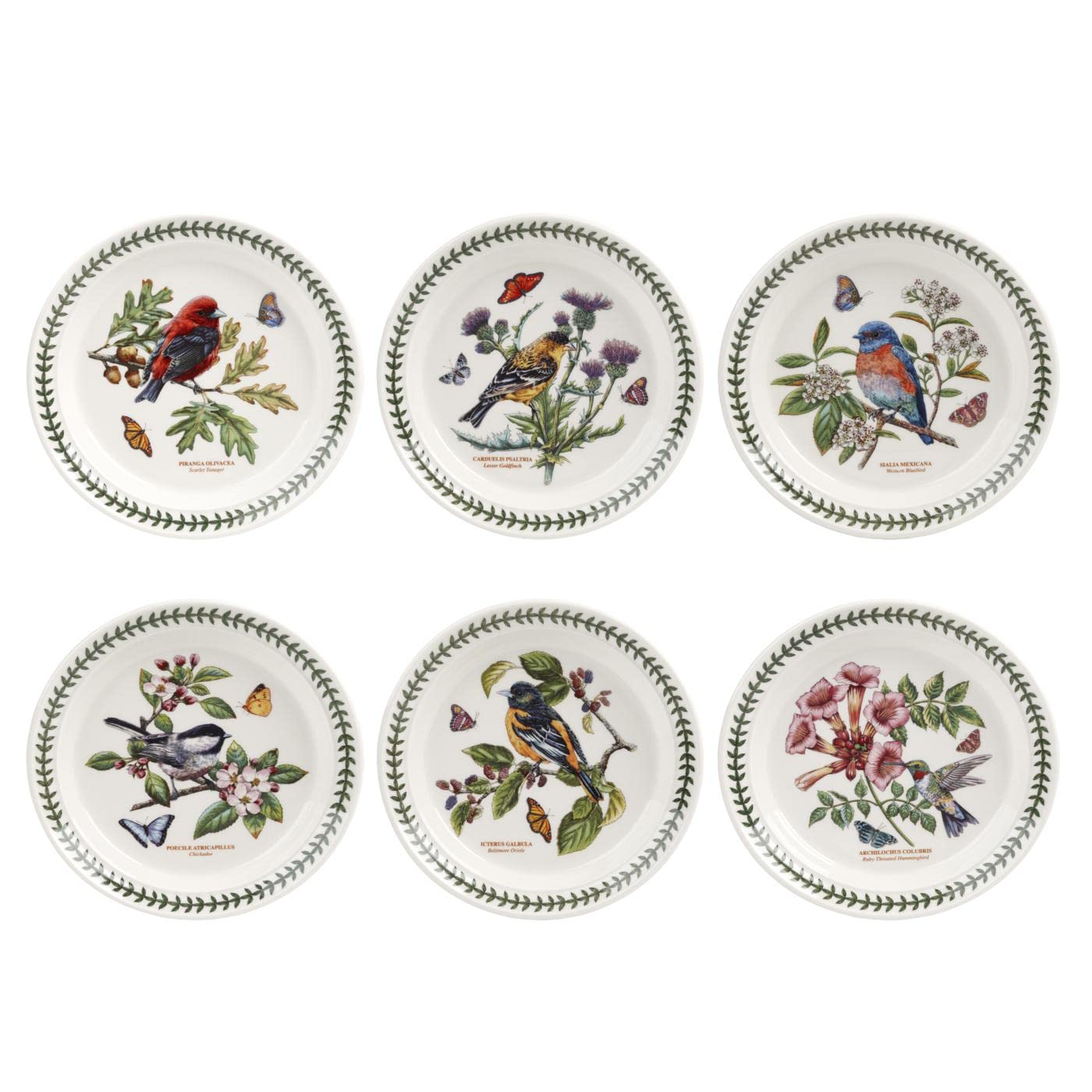 Portmeirion Botanic Garden Birds Collection Salad Plates Set of 6 - 8.5 Inch Earthenware Plates with Beautiful Bird Designs | Dishwasher & Microwave Safe | Made in England | Perfect for Dinner Parties, Garden Tea Time & Home Decor