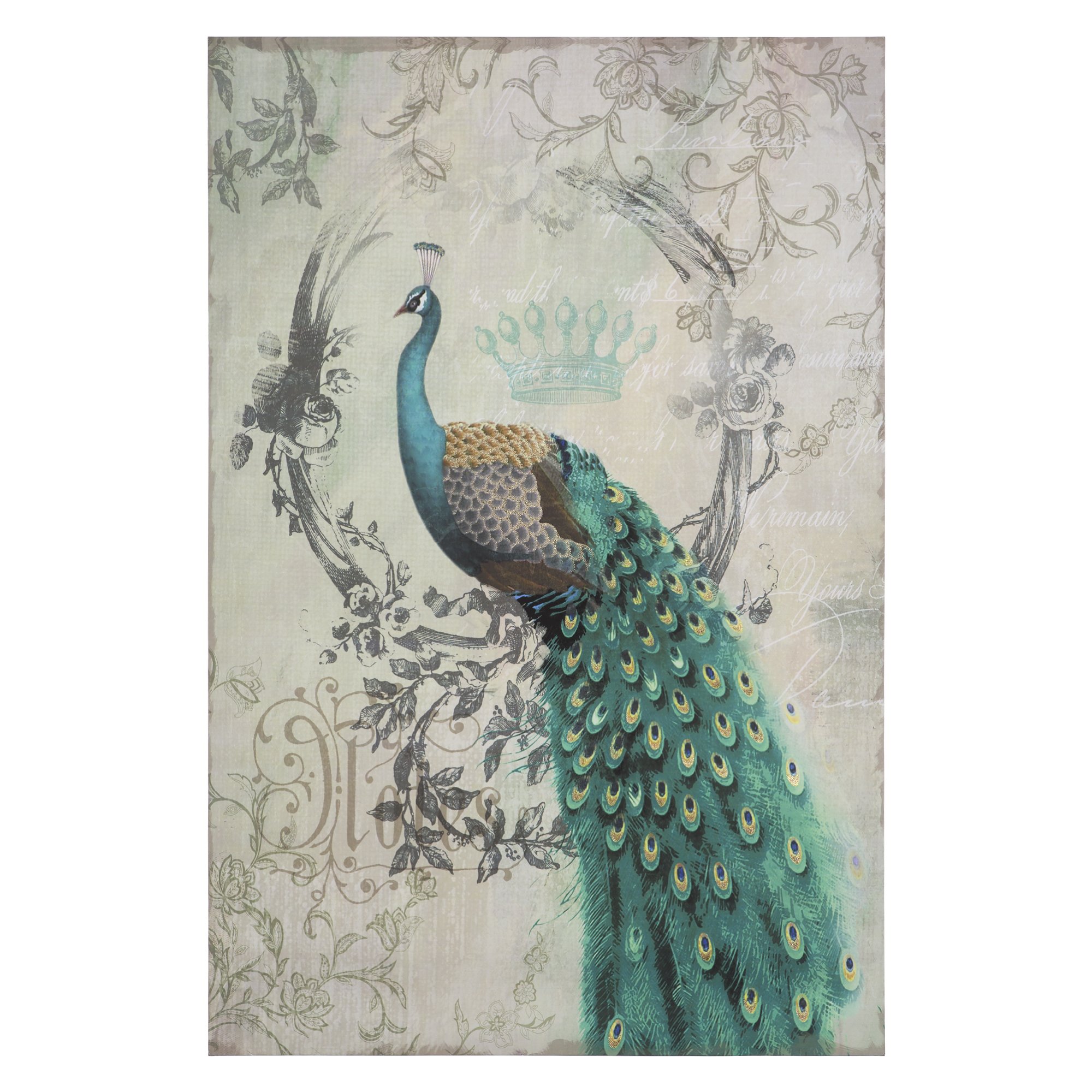 Yosemite Home Decor Peacock Poise II Wall Art - Vibrant Multicolor Peacock Painting for Living Room, Bedroom & Office Decor