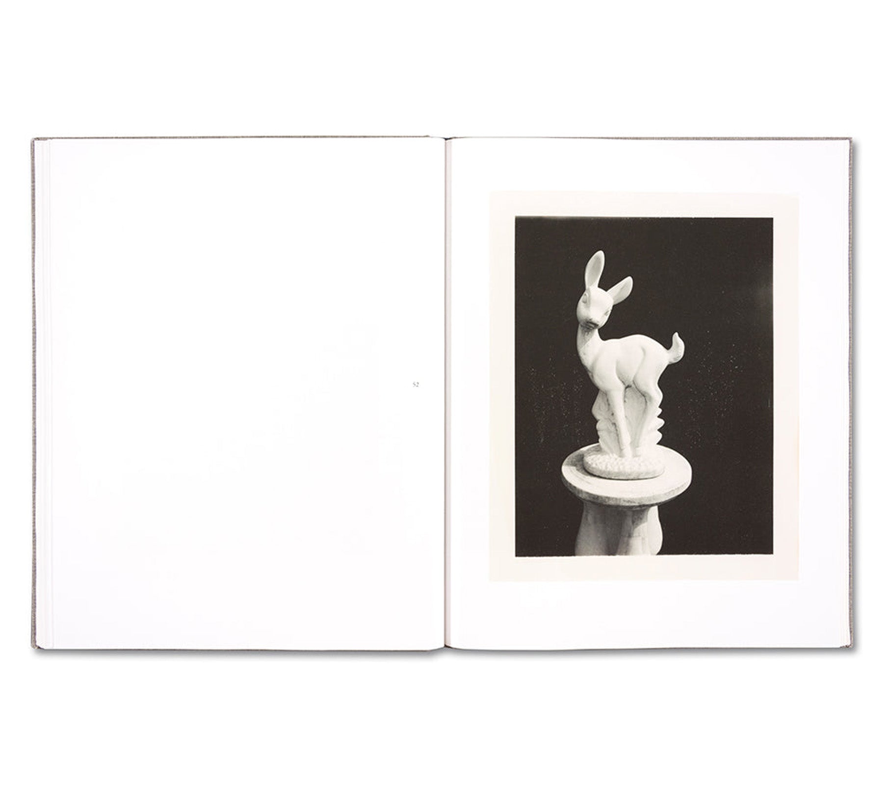 Signed August by Collier Schorr - Limited Edition Art Book for Photography Collectors & Contemporary Art Enthusiasts - Perfect for Home Decor, Gallery Displays & Art Gifts