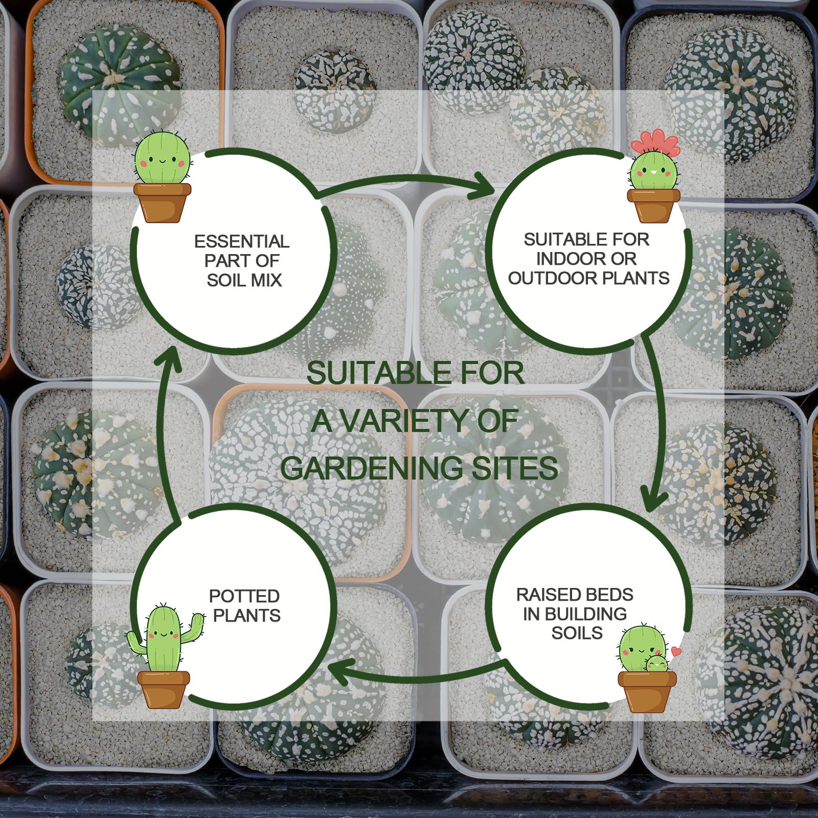 15QT Horticultural Perlite Bulk - Organic Perlite for Plants (3-6mm) | Course Perlite for Gardening, Indoor & Houseplants | Promotes Soil Aeration, Root Growth & Water Drainage | Perfect for Potting Mix, Hydroponics & Seed Starting