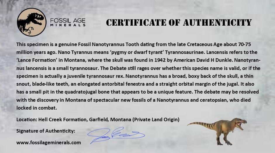 Authentic 1.4