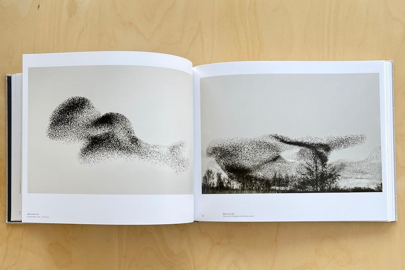 Black Sun by Søren Solkær - Stunning Photography Book of Starling Murmurations - Perfect for Nature Lovers, Coffee Table Decor & Photography Gifts