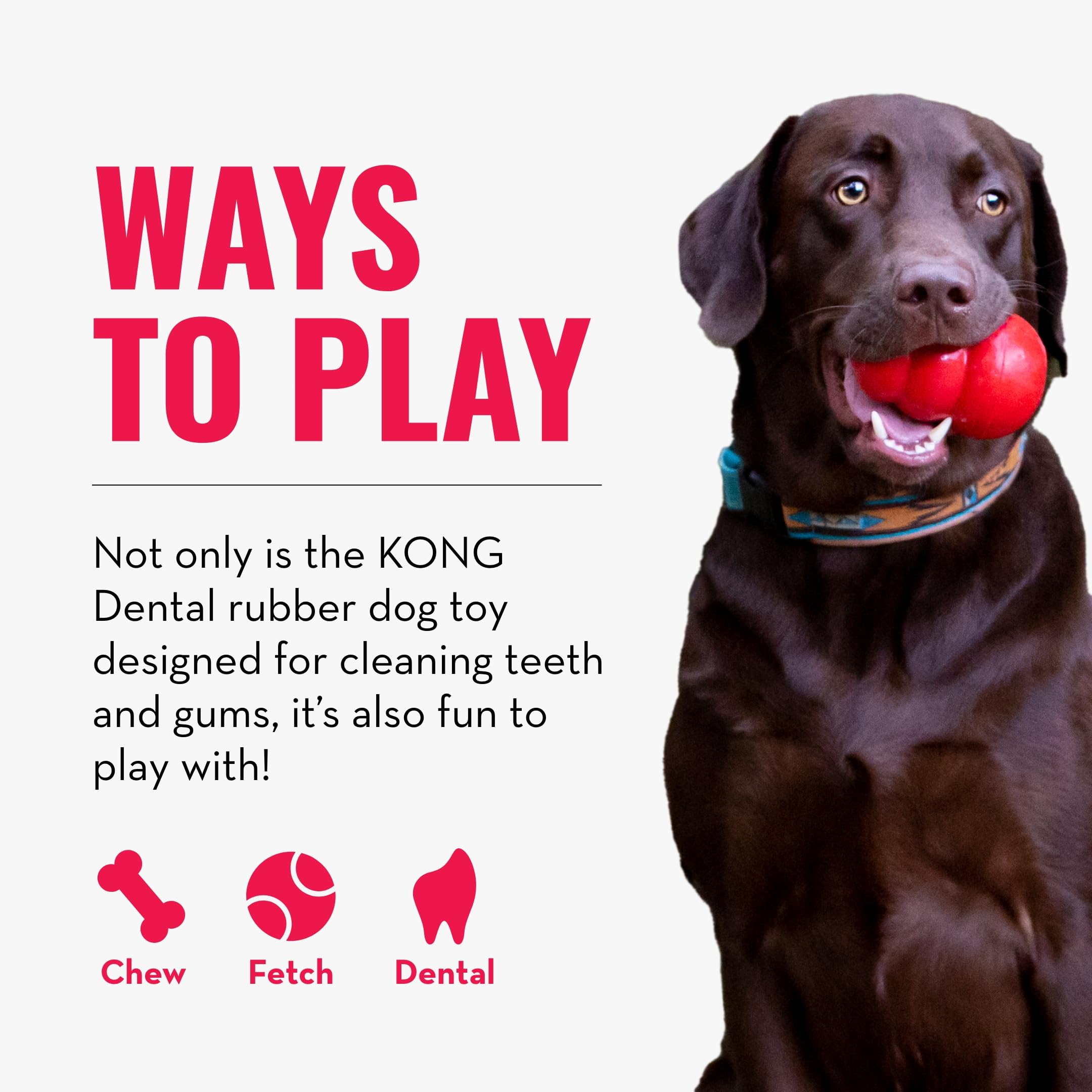 **KONG Dental Dog Toy for Large Dogs - Durable Natural Rubber Chew Toy for Dental Care, Teeth Cleaning & Gum Health - Stuffable for Treats - Satisfies Chewing Instincts - Perfect for Aggressive Chewers & Playtime**