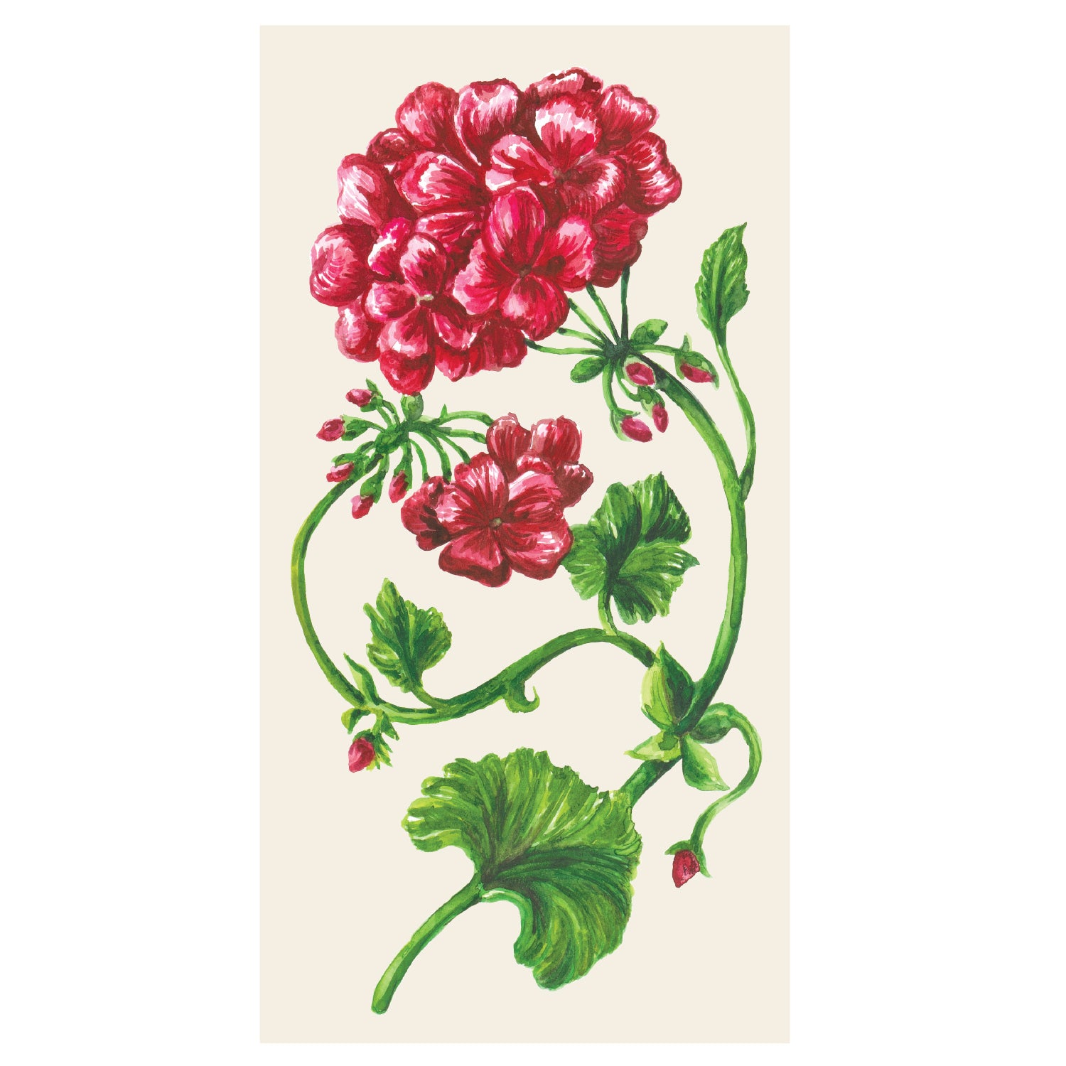 Premium Geranium Printed Paper Napkins - Elegant Floral Design for Dinner Parties, Weddings & Home Decor