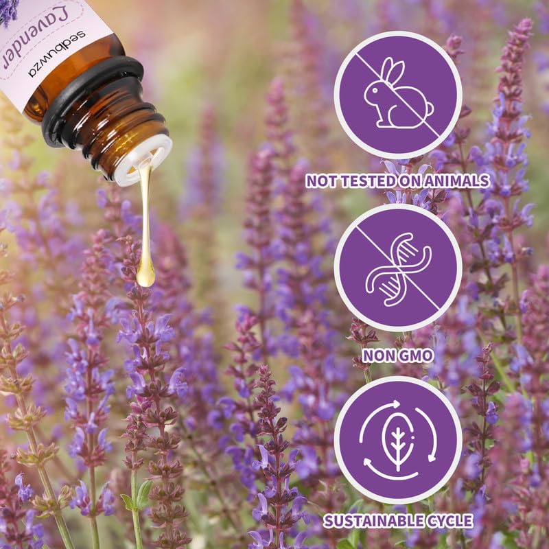 Sedbuwza Rose & Lavender Essential Oil Set - 2 x 10ml Pure Aromatherapy Oils for Diffusers, Massage, Candle Making, Soap & Relaxation - Floral Scented Therapeutic Grade Essential Oils for Home Spa, Yoga & Stress Relief