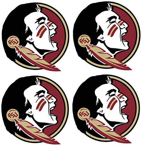 Florida State Seminoles FSU Iron On Heat Transfer Decals 4