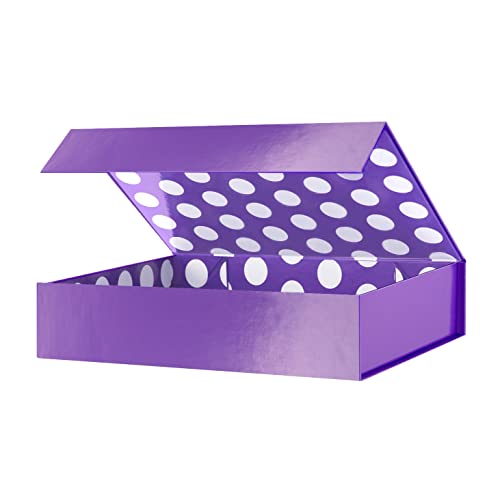 Purple-11x7.8x2.3-Pack of 1