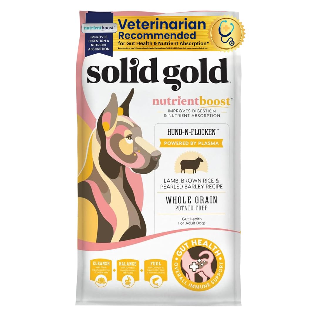 Premium Solid Gold Dry Dog Food for Adult & Senior Dogs - High Protein Lamb & Brown Rice Recipe - Weight Management & Digestive Health Support - Nutrient-Rich Kibble for Active & Aging Dogs - 4 LB Bag - Perfect for Daily Meals & Training Treats