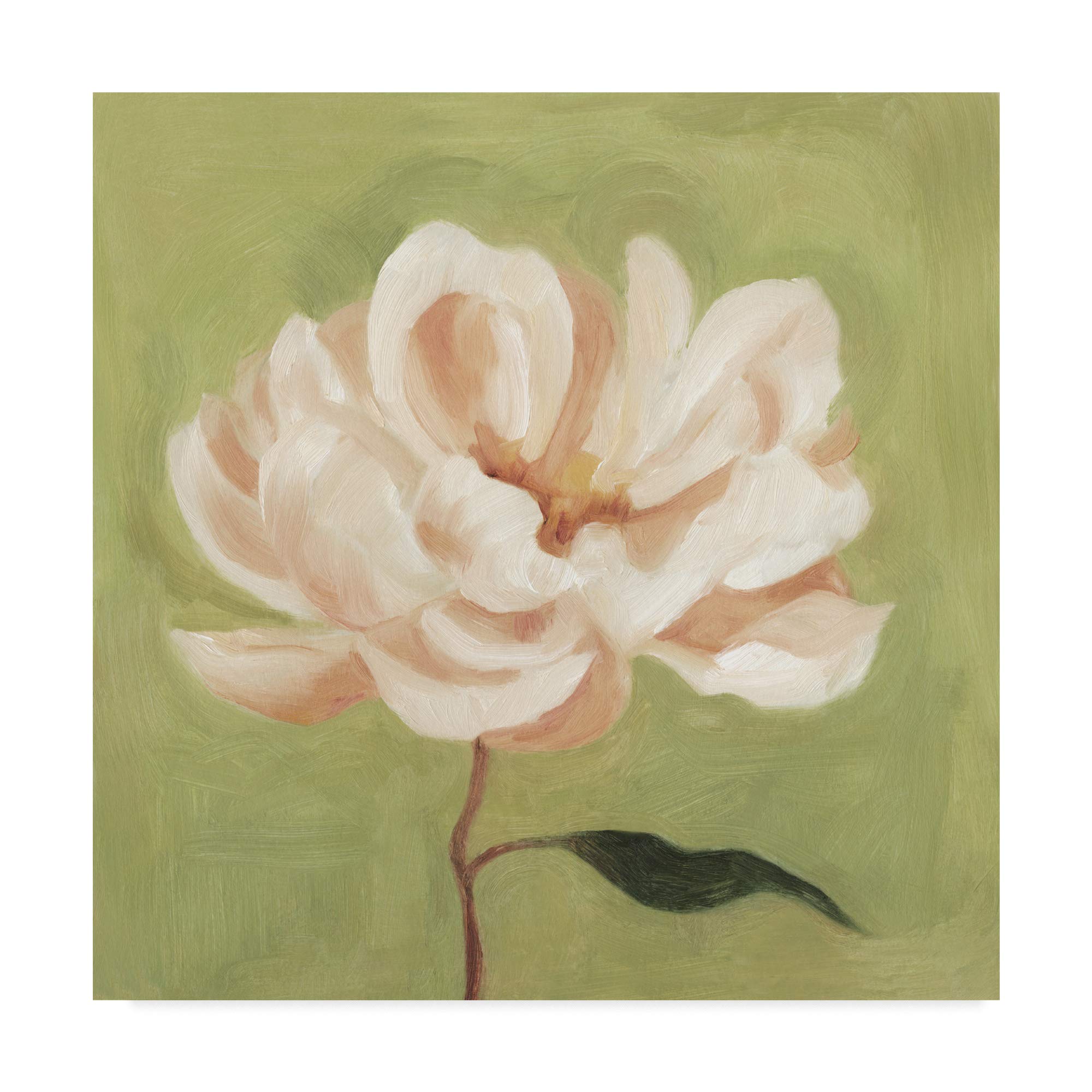 Emma Scarvey Peony on Olive II Fine Art Print - 24x24 Inches Wall Decor for Living Room, Bedroom & Office | Floral Painting for Home & Office Decoration