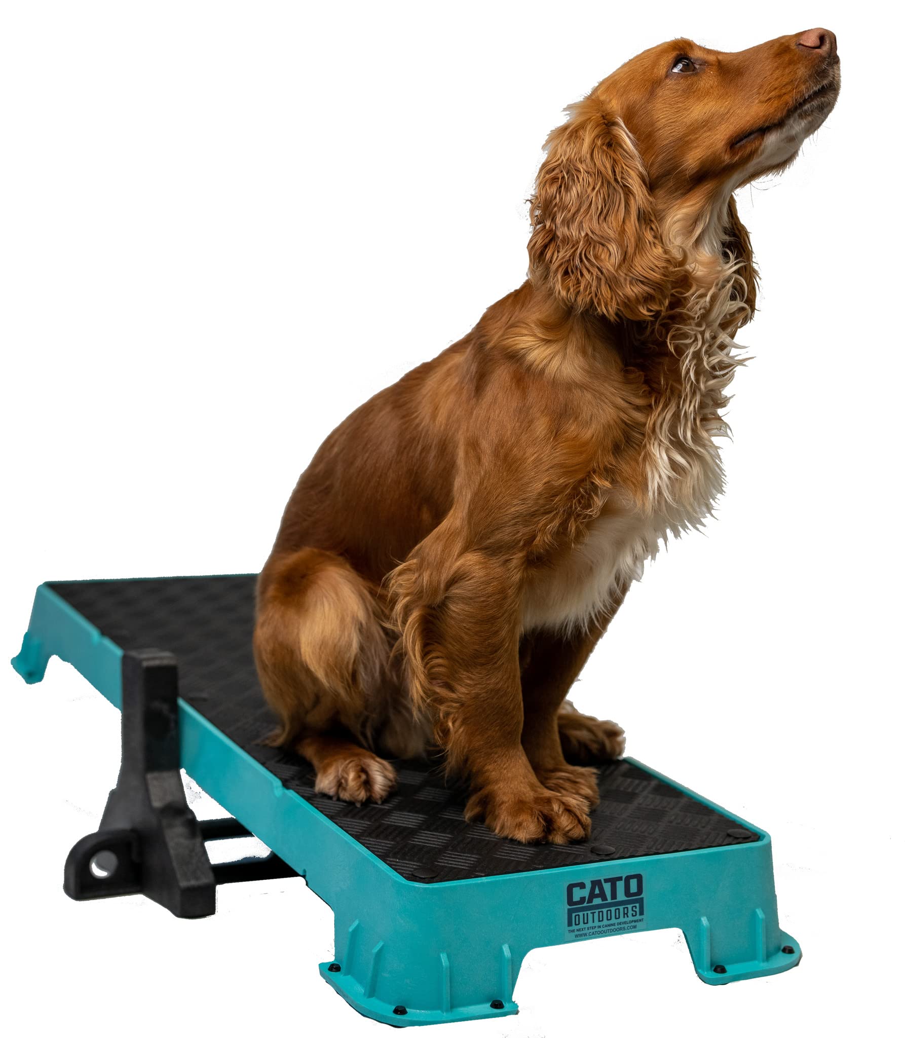 Cato Board XL - Large Dog Training Platform with Adjustable Tilt Stand (Teal) | Perfect for Agility Training, Obedience Practice & Indoor/Outdoor Use