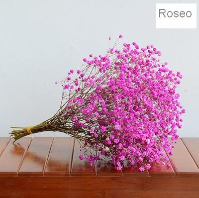 A bunch roseo babys breath  (about 15 stems)