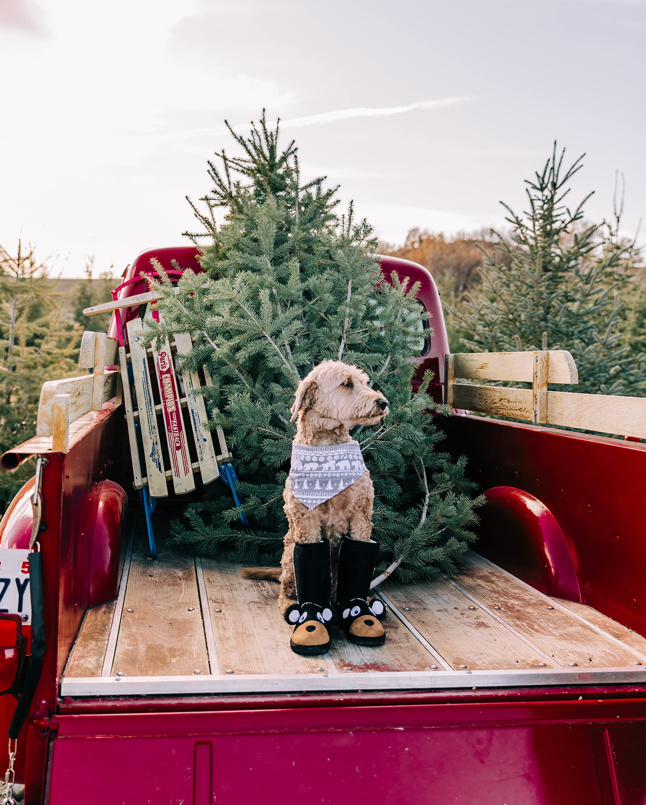 Reversible Dog Bandana for Pets - Nordic Moose Bear Winter Style | XS/S for Cozy Outings