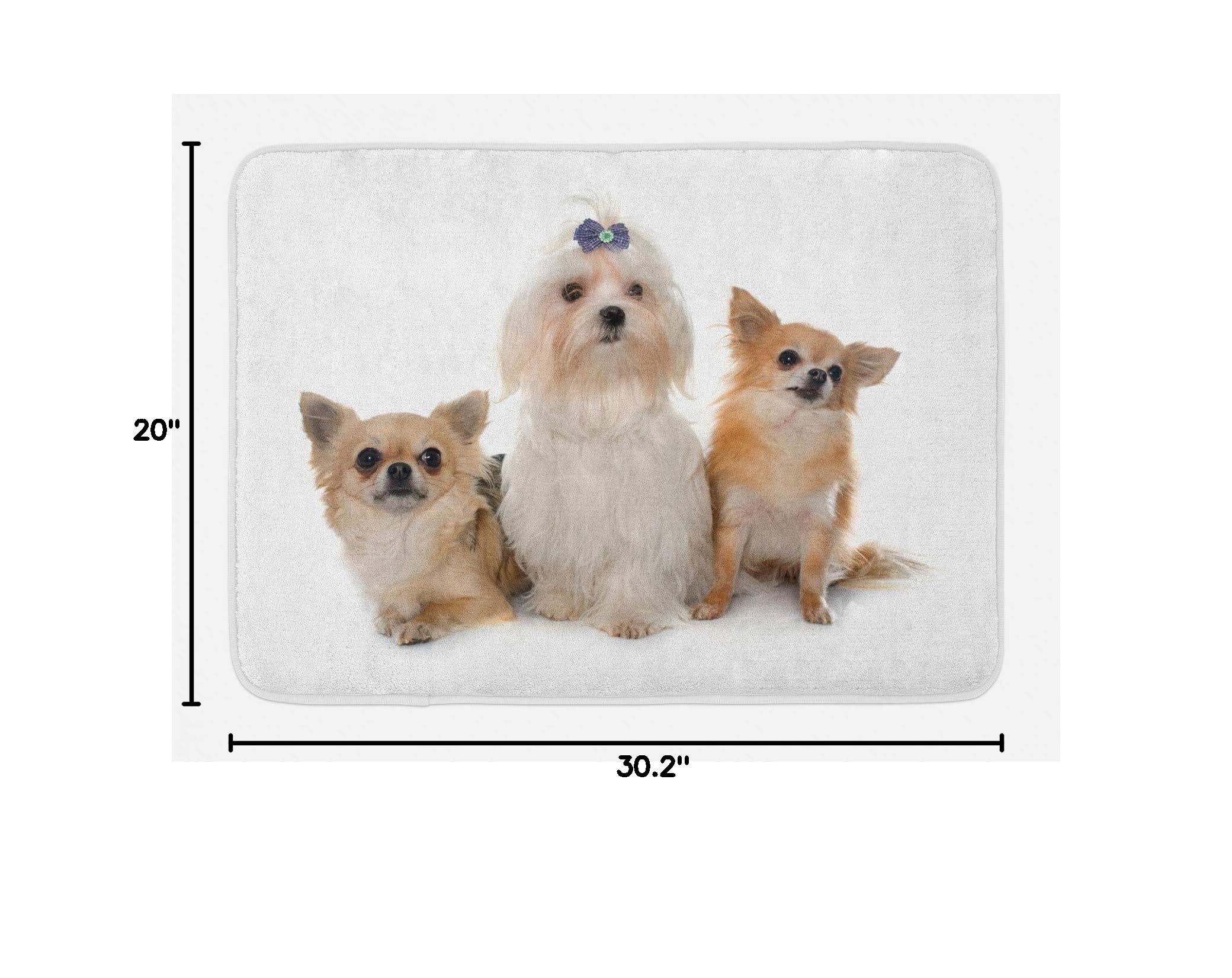 Ambesonne Non-Slip Plush Bath Mat with Chihuahua and Maltese Puppy Design - 30.2