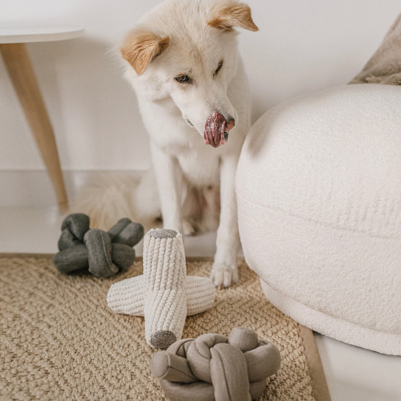Interactive Crinkle Pet Toy for Dogs & Cats - Sensory Enrichment Play Object for Puppy & Kitten Training, Indoor Playtime & Anxiety Relief
