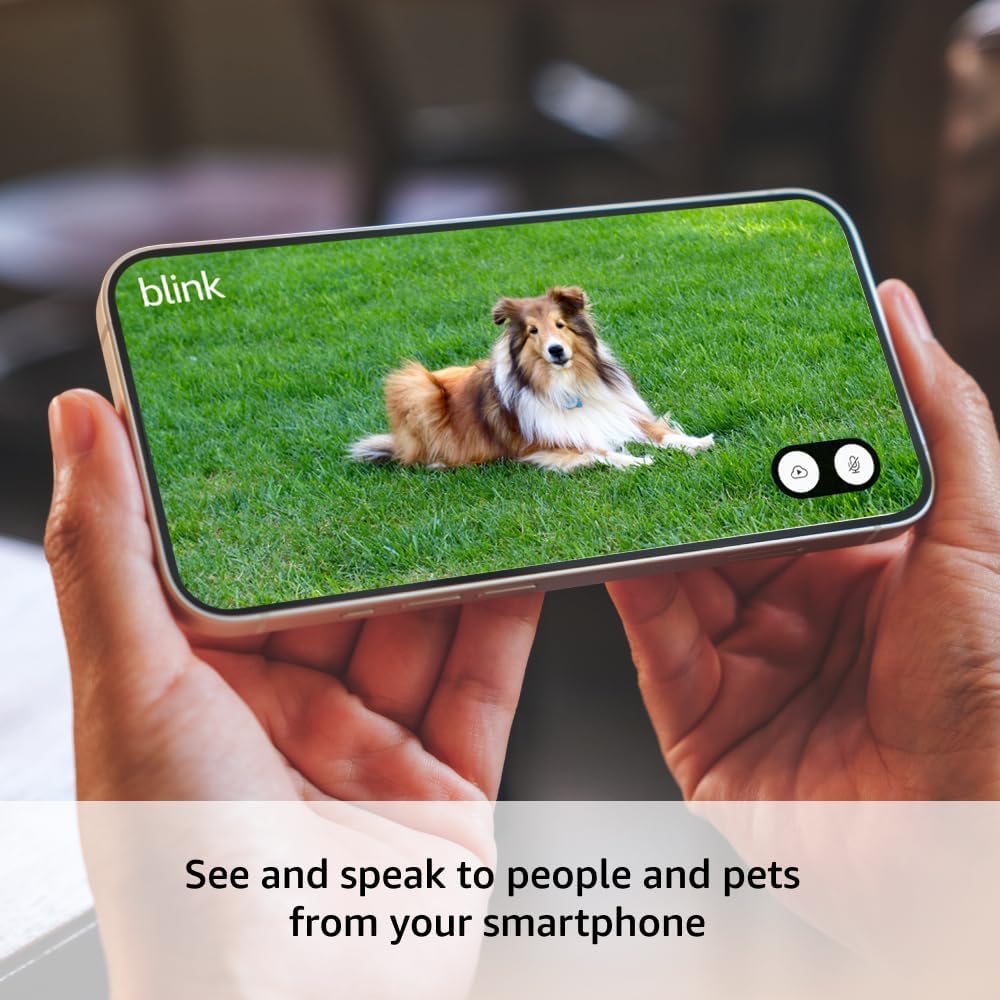 Blink Mini 2 (Newest Model) Weatherproof Security Camera with HD Video, Motion Detection & Built-in Spotlight - Indoor/Outdoor Home Monitoring & Pet Camera System - Includes 2 Black Cameras & Weather Resistant Adapter - Perfect for Home Security, Baby Monitoring & Property Surveillance