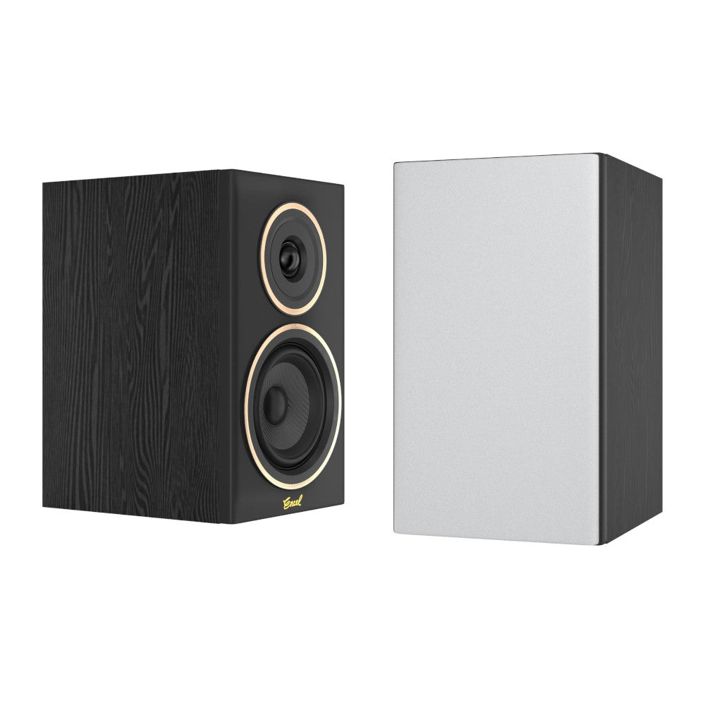 Birch Black / Black