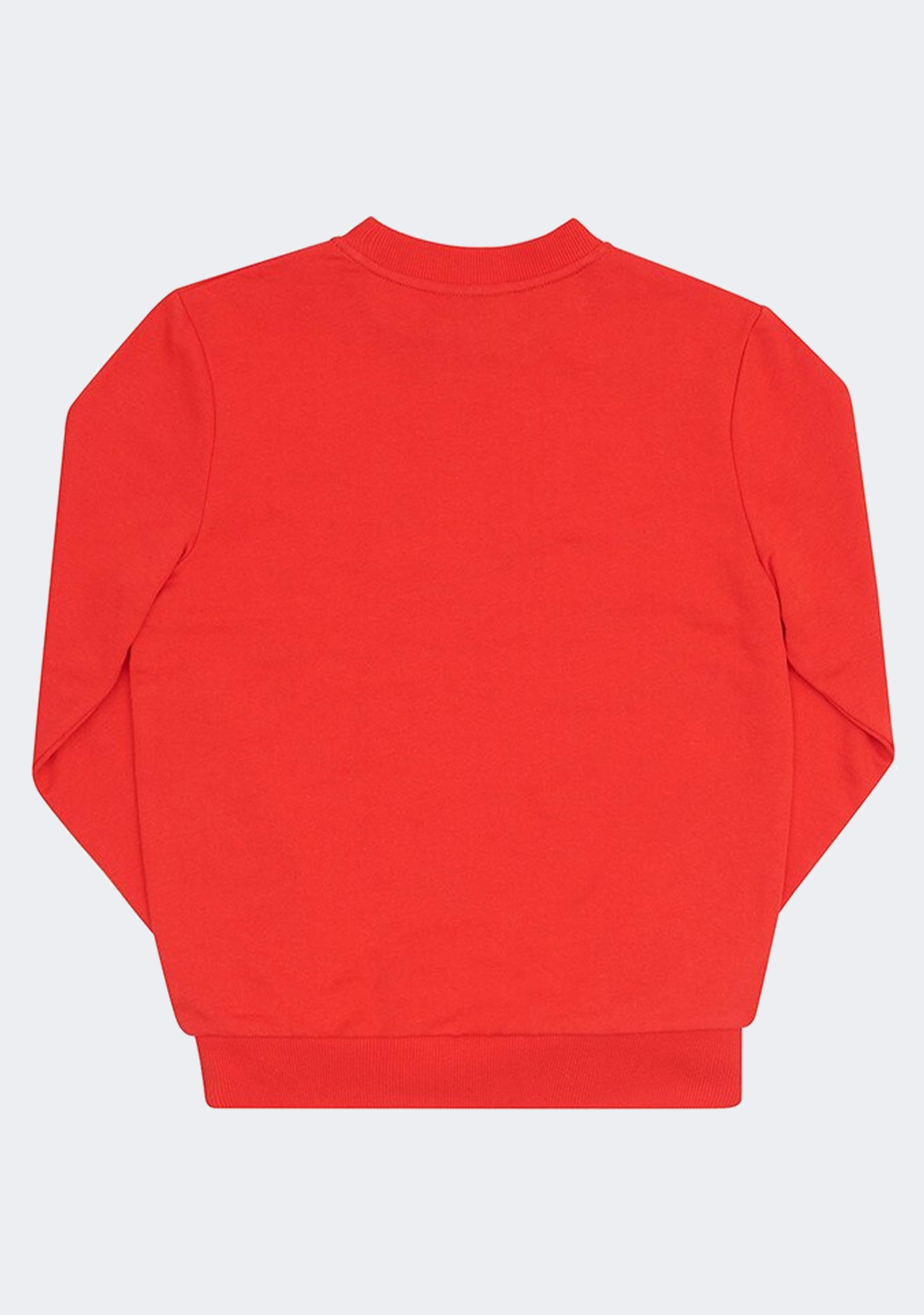 Champion Kids Lightweight Terry Crewneck Sweatshirt - Soft Cotton Pullover for Boys & Girls - Perfect for School, Playdates & Casual Outings