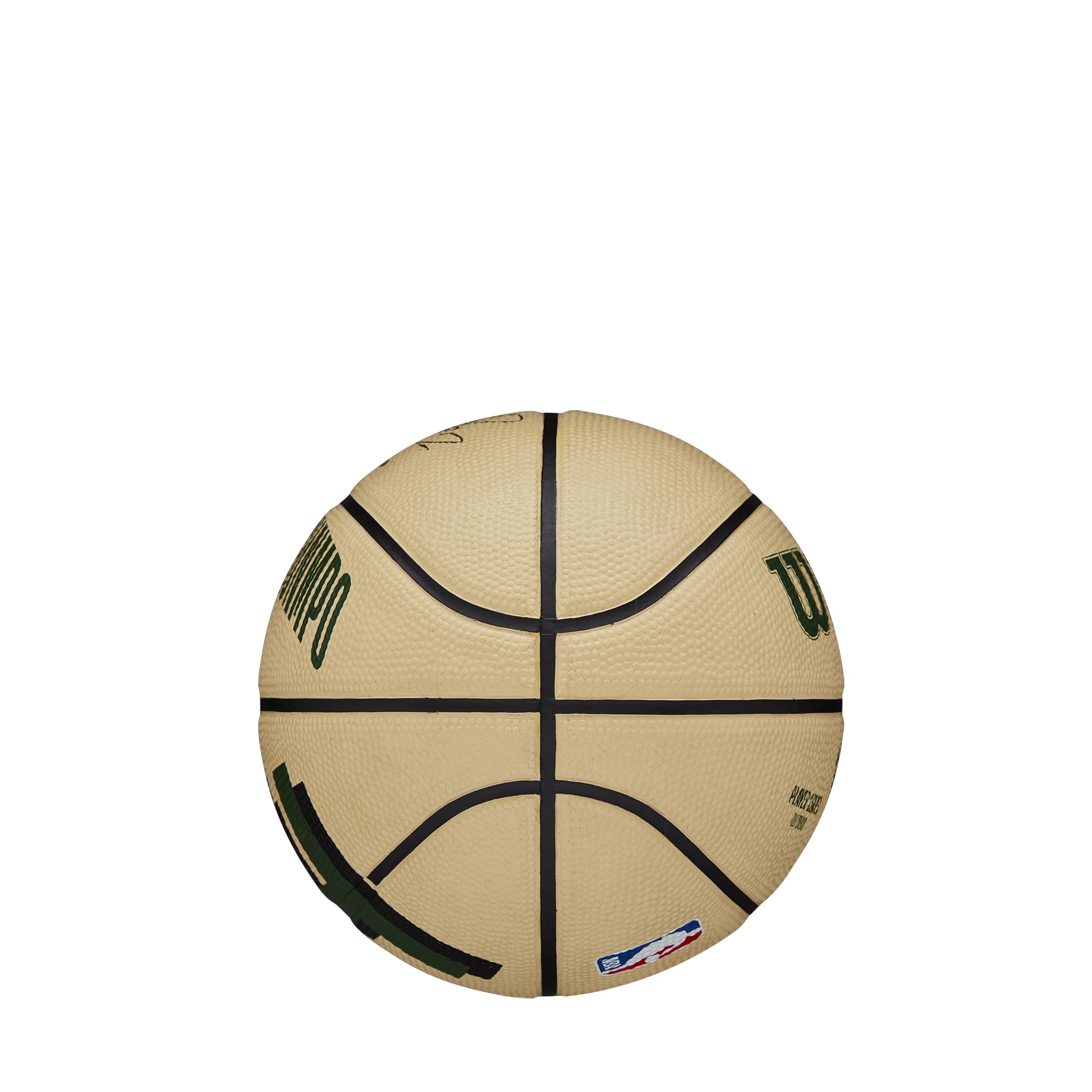 Wilson NBA Player Icon Basketballs - Official Size 3 & Size 7 for Indoor/Outdoor Play - Perfect for Training, Games & Collectibles