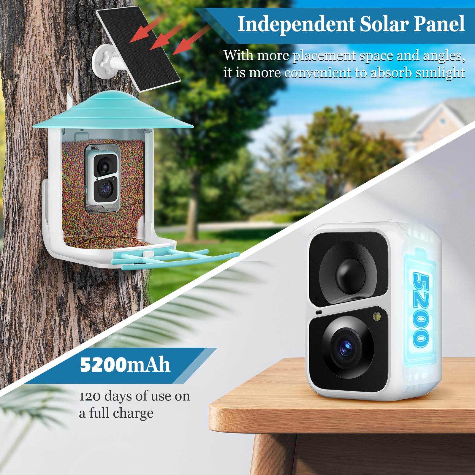 Careboda Smart AI Bird Feeder with Camera - Solar Powered Wireless Outdoor Bird Watching Camera with Motion Detection, Auto Video Capture & 64GB SD Card - Perfect for Backyard Bird Watching & Nature Enthusiasts (Blue)