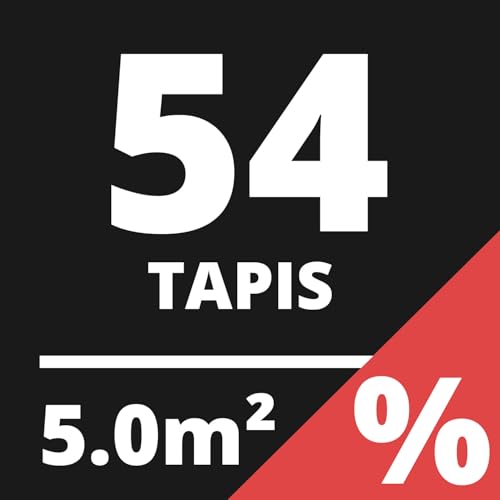 Anthracite | 54 Tapis | 5 M²